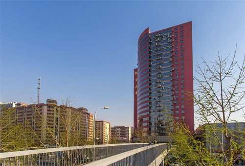 阜新SEO优化系统